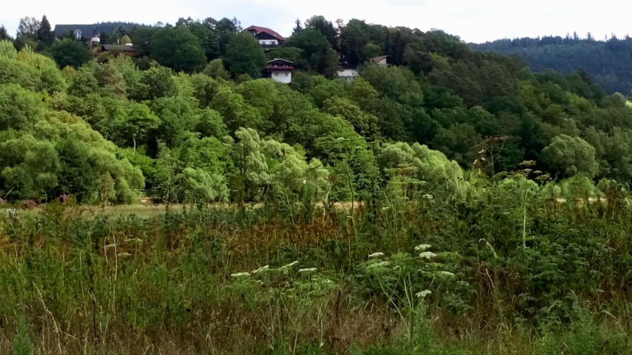 Ferienhaus Im Ederbergland Hatzfeld Eksteriør bilde