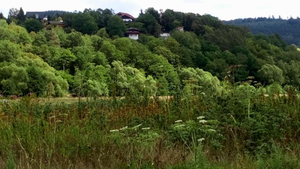 Ferienhaus Im Ederbergland Villa Hatzfeld Eksteriør bilde